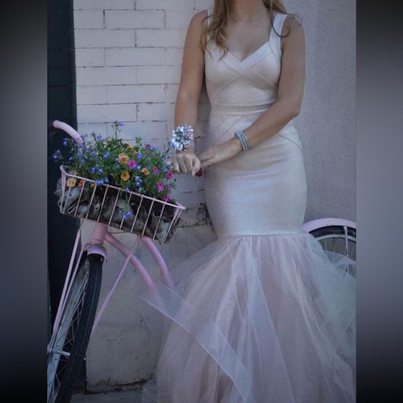 Blush Pink Prom Dress: David’s Bridal - Picture 3 of 5